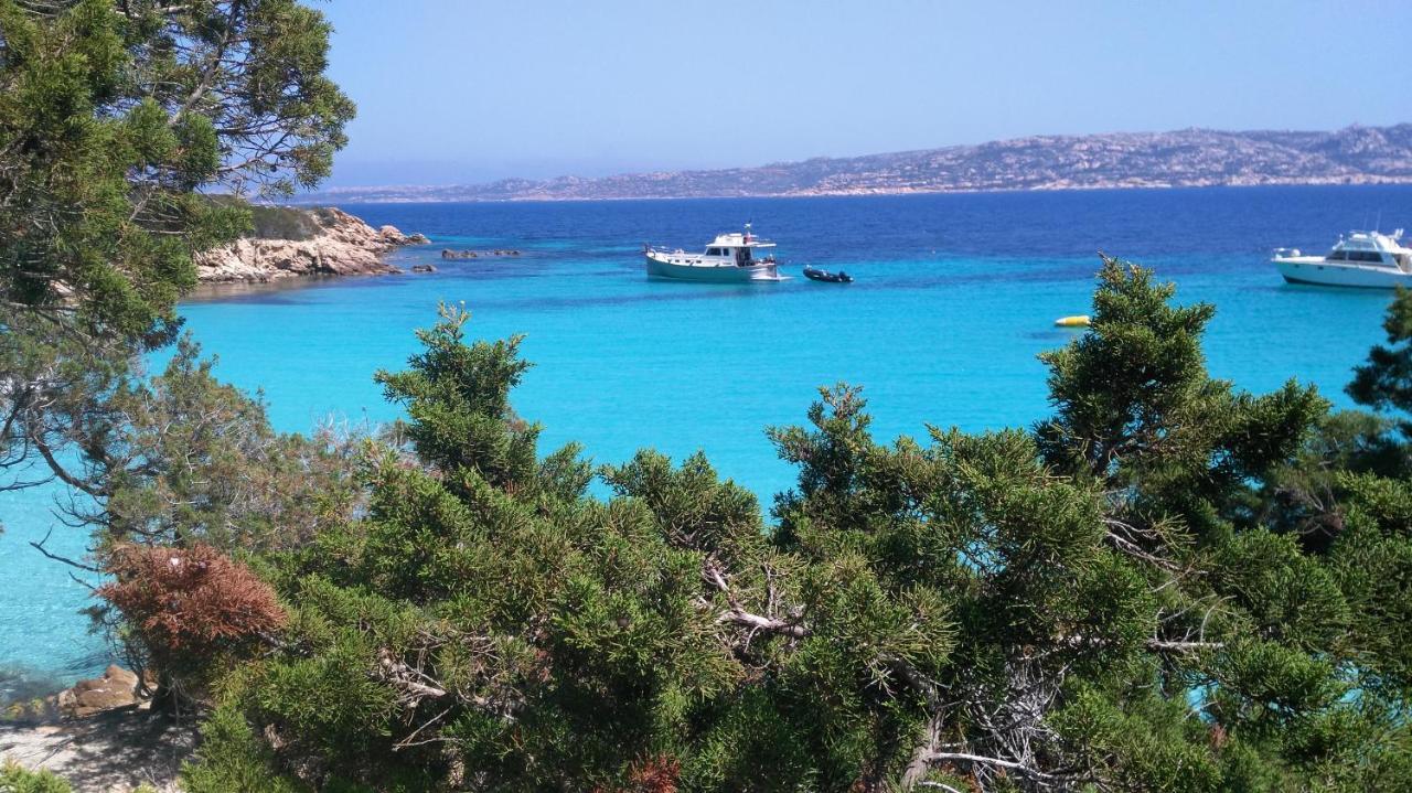 Bed and Breakfast Domus De Janas Santa Teresa Gallura Exterior foto