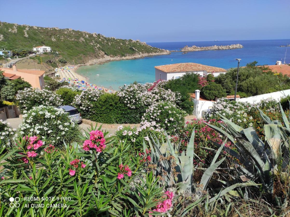 Bed and Breakfast Domus De Janas Santa Teresa Gallura Exterior foto